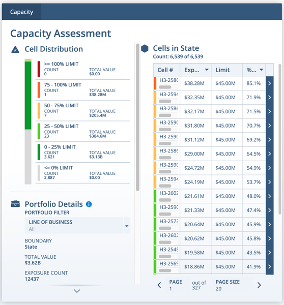 Screenshot of the Capacity Assessment panel at the state level.
